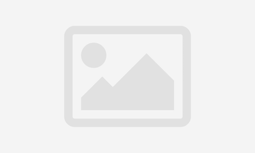 Doctor of Pharmacy (Pharm. D)